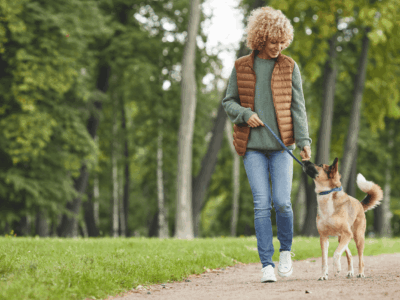 ITNLehighValley News